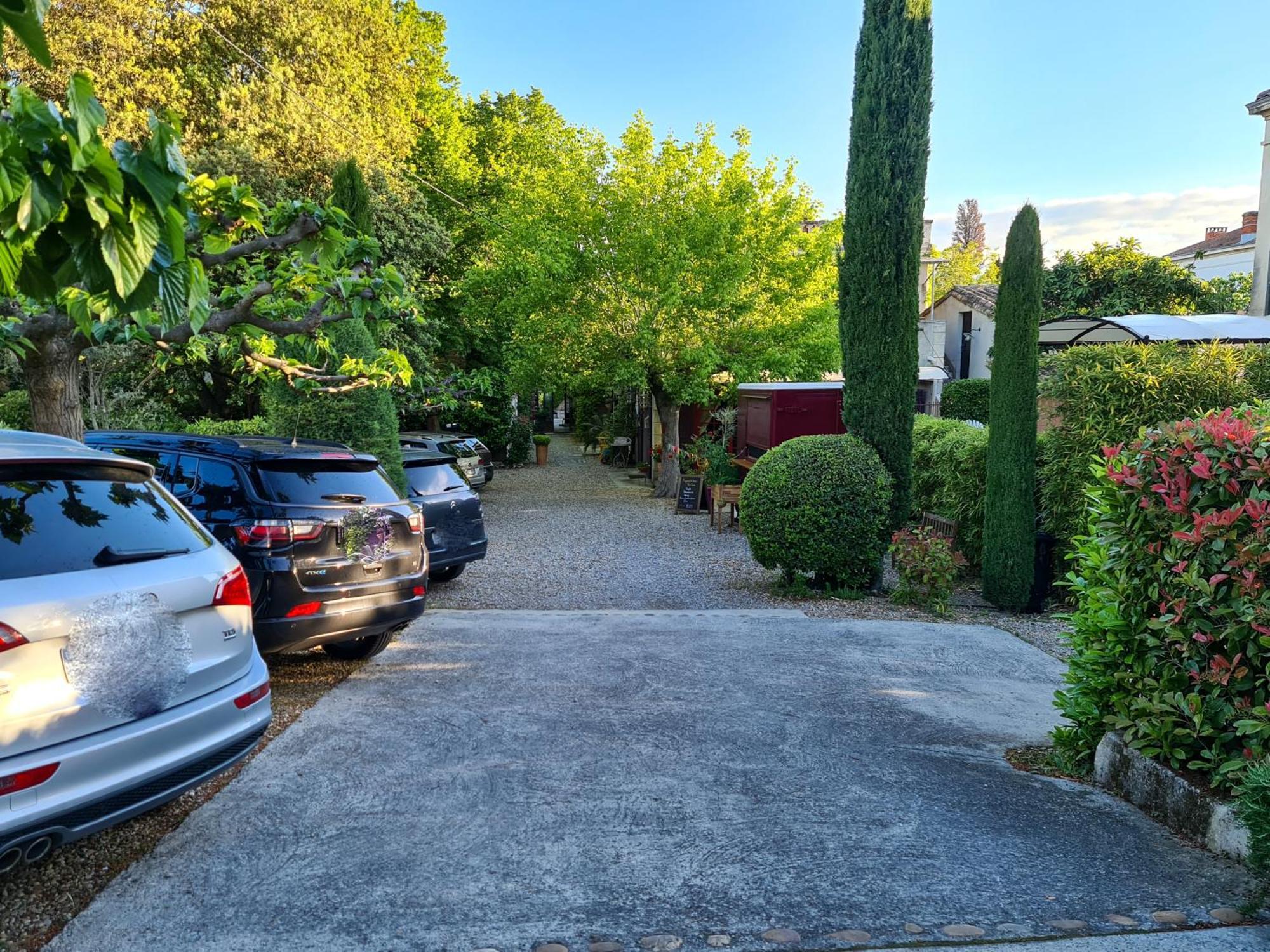 Hotel Sous Les Figuiers - Piscine, Parking, Centre Ville Saint-Rémy-de-Provence Exterior foto